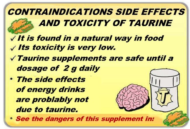 Toxicity, contraindications and adverse effects of taurine