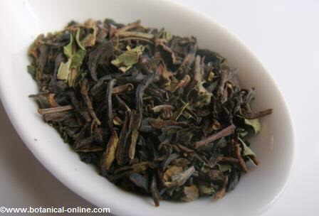 Darjeeling tea