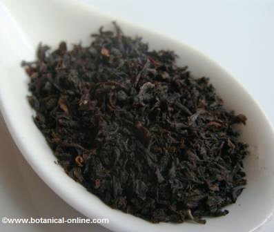 Black tea FBOP