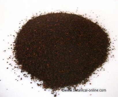 Black tea dust ( Camellia sinensis)