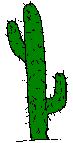 CACTUS STEMS