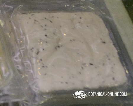 packaged tofu with aromatic herbs