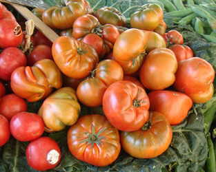 tomatoes in a market