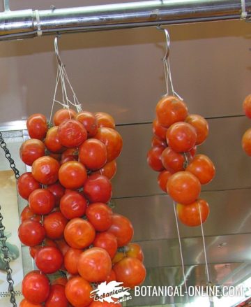 Tomatoes in a market