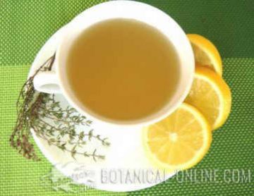 Thyme infusion with lemon