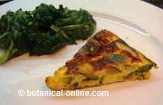 Zucchini omelette with onion