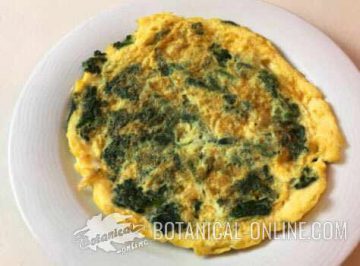 spinach omelette