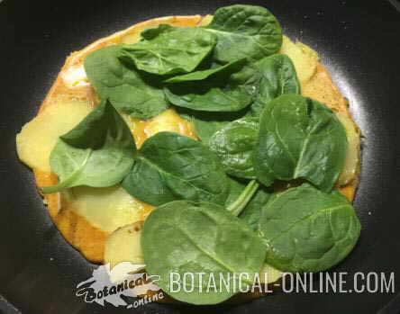 prebiotic potato omelette, with cheese, raw spinach, turmeric and black pepper