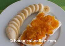 Toast with cheese, jam with orange skin and bananas 