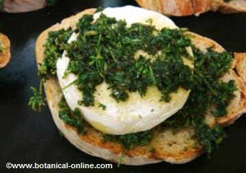 Goat cheese and nettles toas