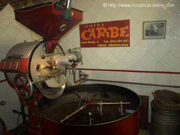 Coffee Roaster