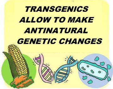 transgenic debate unnatural definition and dangers