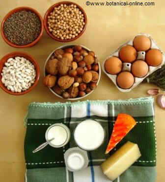 Dairy products, eggs, legumes and nuts