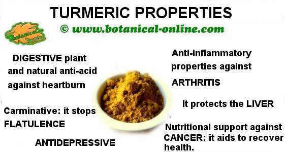 Turmeric properties