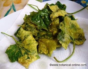 battered coltsfoot leaves.