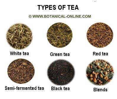 Types of tea