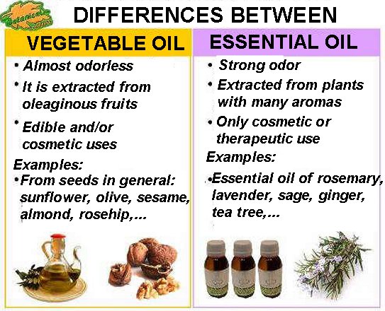 Edible Oils and Specialty Oils