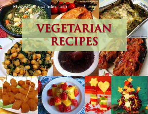 Vegetarian recipes