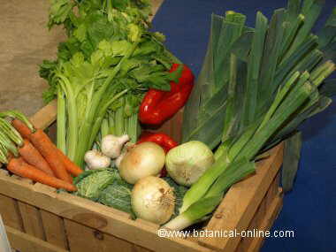 vegetables for vegans