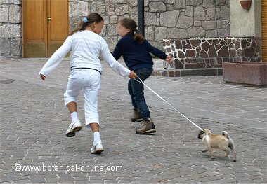 Children running with a dog