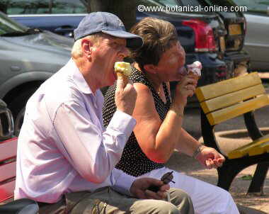 Eating an ice-cream