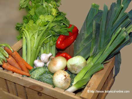vegetables with fiber