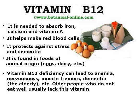 Propiedades de la vitamina B12