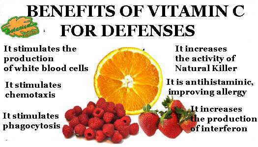 Properties of vitamin C to increase the defenses