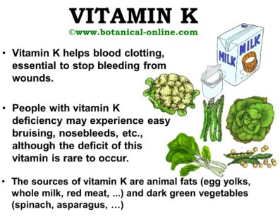 Properties of vitamin K