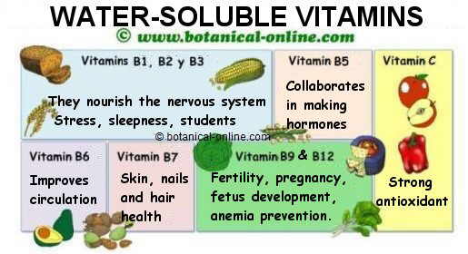 water-soluble vitamins