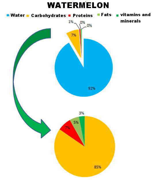 Composition of watermelon