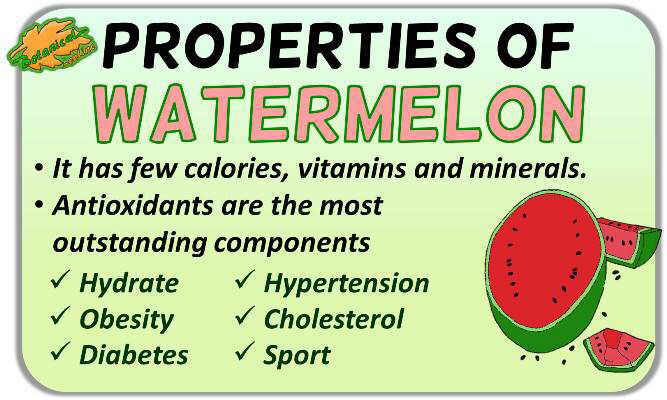 Medicinal properties of watermelon