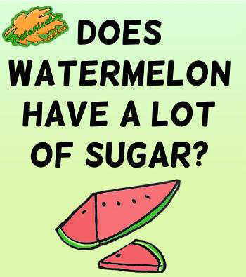 watermelon sugar