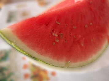 watermelon slice