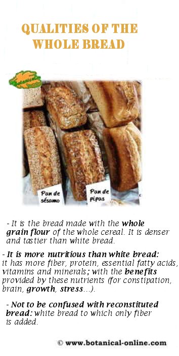 https://www.botanical-online.com/en/wp-content/uploads/whole-wheat-bread-properties-sh.jpg