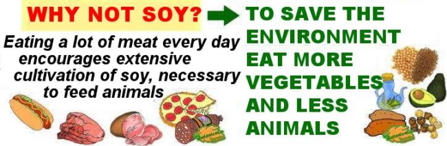 Ecological impact of meat to feed animals and people, vegetarian diet