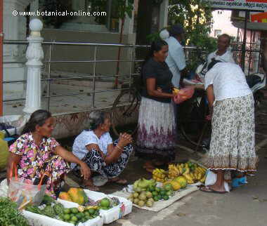 women selling fruit in a market