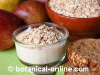 Photo of yogurt with oat flakes and whole wheat bread with oat flakes.