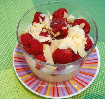 yogurt with raspberries