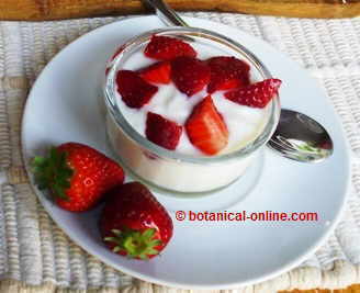yoghurt (probiotic) with strawberries (prebiotic).