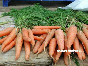 Carrots