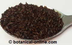 Psyllium seed (P. psyllium)