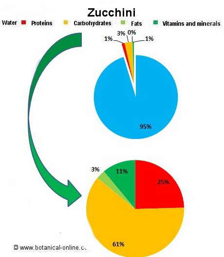 Zucchini composition