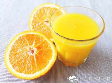 Homemade orange juice