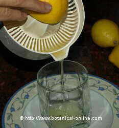 Squeezing a lemon to make a lemon cure