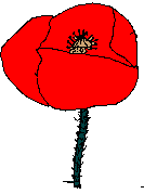 florpapaveracia.gif