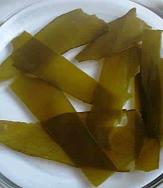 alga kombu