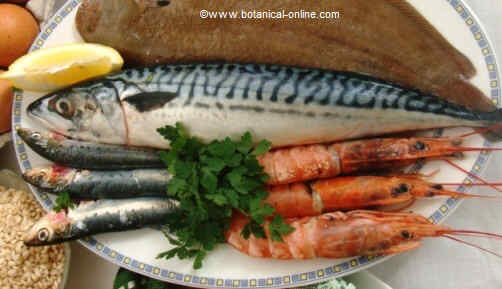 Sea foods