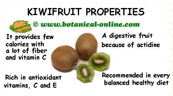 properties of kiwis