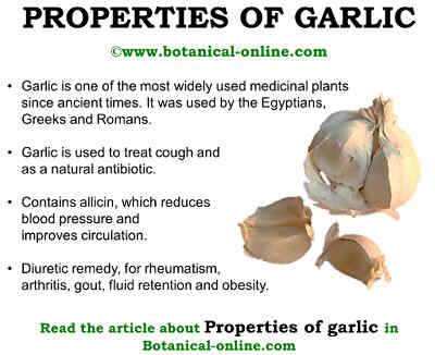 chemical analysis of garlic 参考文献no 801163 标题: chemical investigations of alliin, the specific principle of garlic 作者: stoll, a seebeck, e 来源: adv enzymol 1951,11377-400 合成路线图解说明. chemical analysis of garlic 参考文献no 801163 标题: chemical investigations of alliin, the specific principle of garlic 作者: stoll, a seebeck, e 来源: adv enzymol 1951,11377-400 合成路线图解说明.